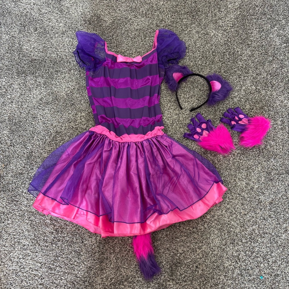 Alice and Wonderland Cat Costume